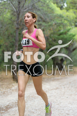 1xil151_0035