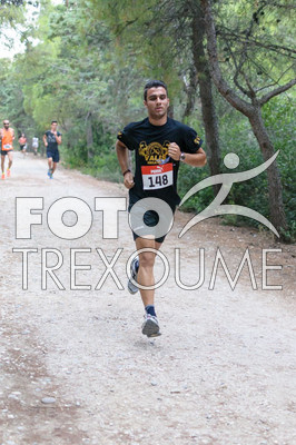 1xil151_0057