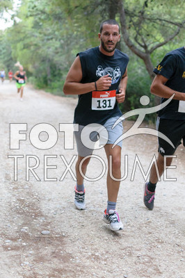 1xil151_0096