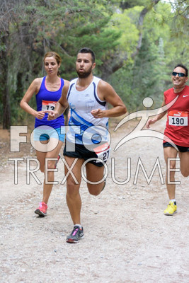 1xil151_0105