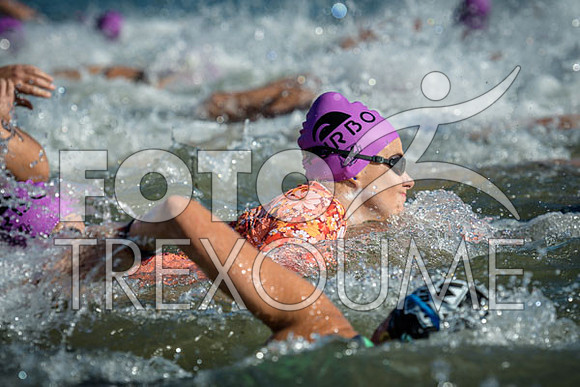2311180481