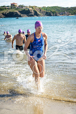 2311181463