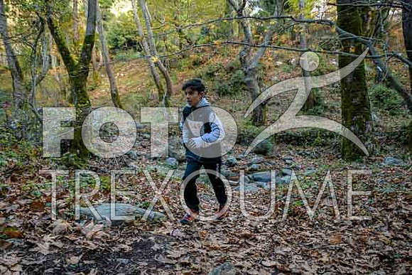 231126d0096