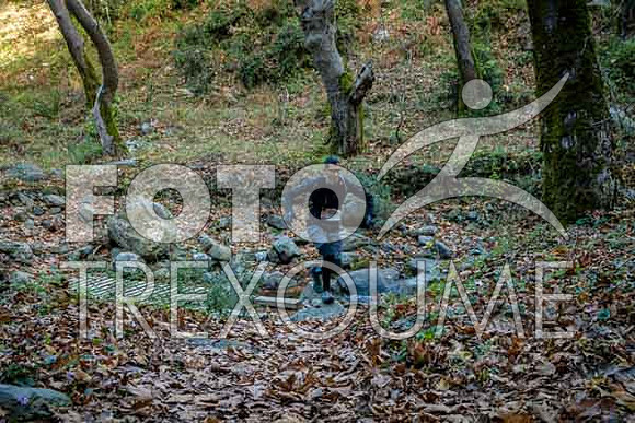 231126d0159