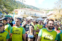 231203amr0182
