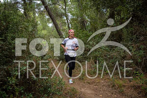 240225ce1403