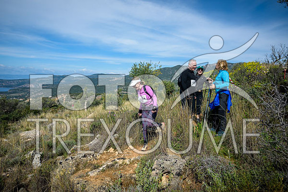 24032310485