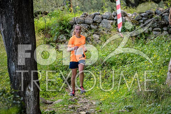 2403233306