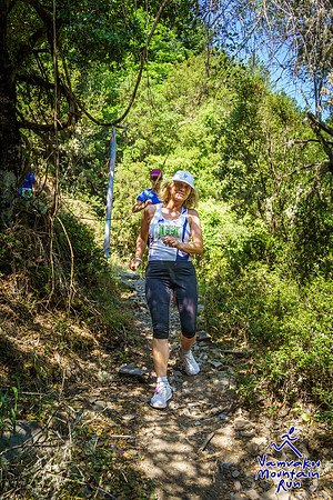 250615v1481