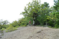 201025A0888