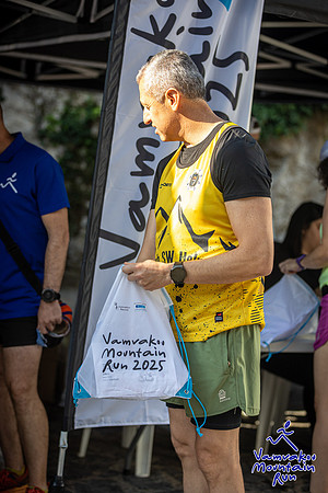 250615v0033
