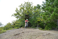 201025A0853