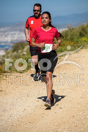 22004100498